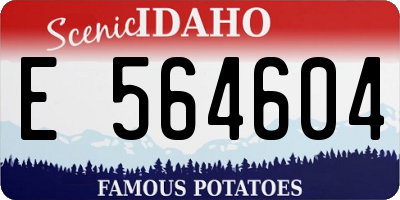 ID license plate E564604