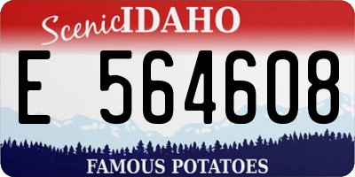 ID license plate E564608