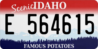ID license plate E564615