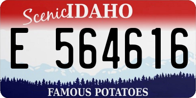 ID license plate E564616