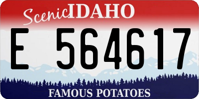 ID license plate E564617
