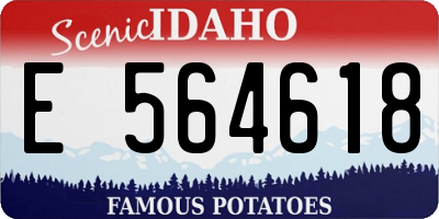 ID license plate E564618