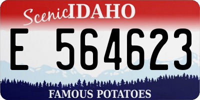 ID license plate E564623