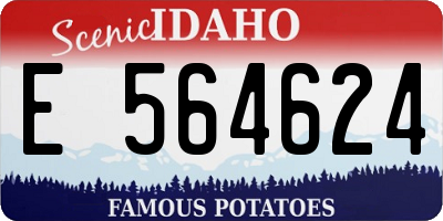 ID license plate E564624