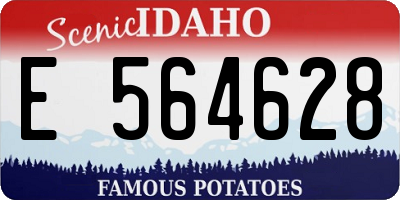 ID license plate E564628