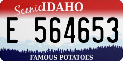 ID license plate E564653