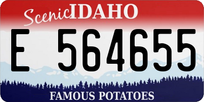 ID license plate E564655