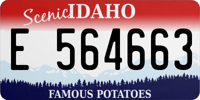 ID license plate E564663