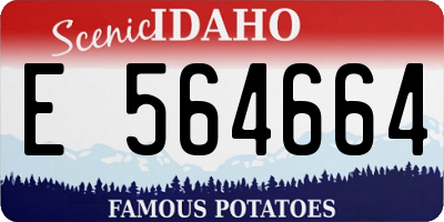 ID license plate E564664