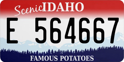 ID license plate E564667