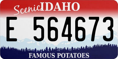 ID license plate E564673
