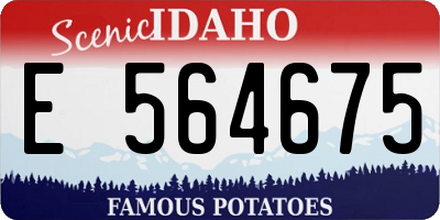 ID license plate E564675