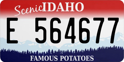 ID license plate E564677