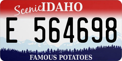 ID license plate E564698