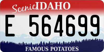 ID license plate E564699