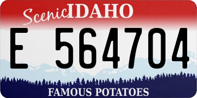 ID license plate E564704