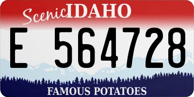 ID license plate E564728