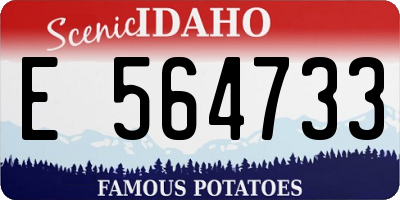 ID license plate E564733
