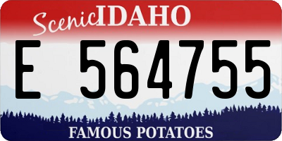 ID license plate E564755