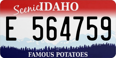 ID license plate E564759