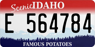 ID license plate E564784