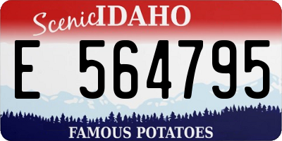 ID license plate E564795