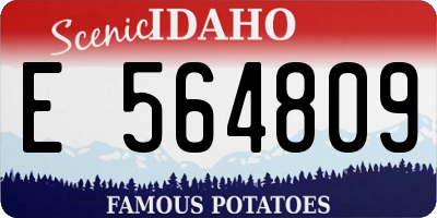 ID license plate E564809