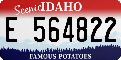 ID license plate E564822