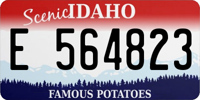 ID license plate E564823