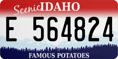 ID license plate E564824