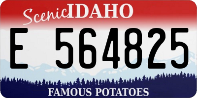 ID license plate E564825