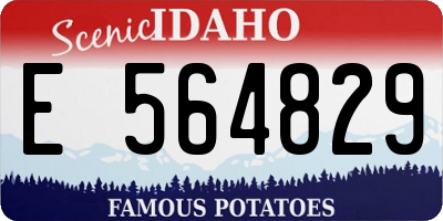 ID license plate E564829