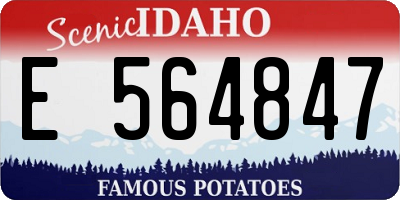 ID license plate E564847