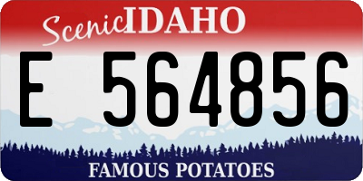 ID license plate E564856