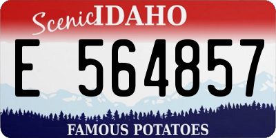 ID license plate E564857