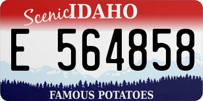 ID license plate E564858