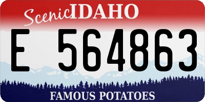 ID license plate E564863