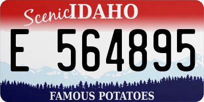 ID license plate E564895