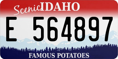 ID license plate E564897