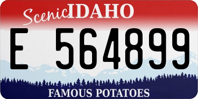 ID license plate E564899