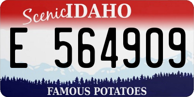 ID license plate E564909