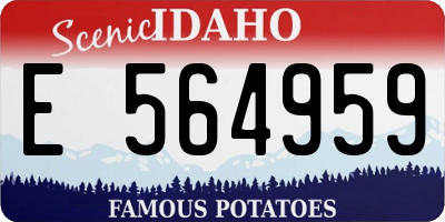 ID license plate E564959