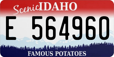 ID license plate E564960