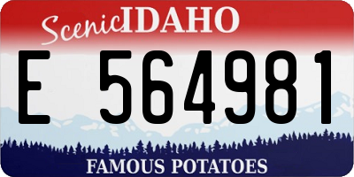 ID license plate E564981