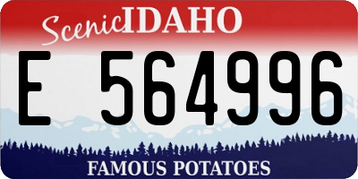 ID license plate E564996