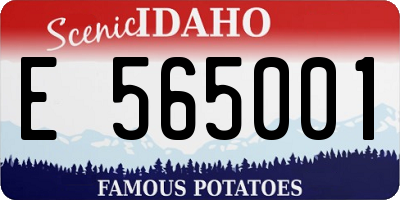 ID license plate E565001