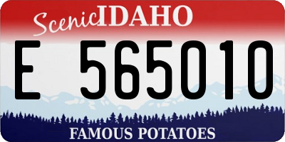 ID license plate E565010