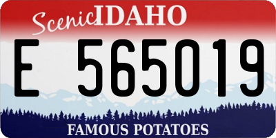 ID license plate E565019