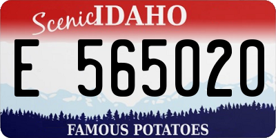 ID license plate E565020