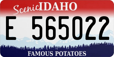 ID license plate E565022